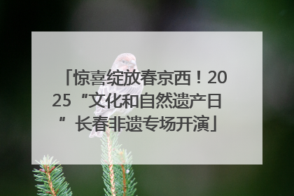 惊喜绽放春京西！2025“文化和自然遗产日”长春非遗专场开演
