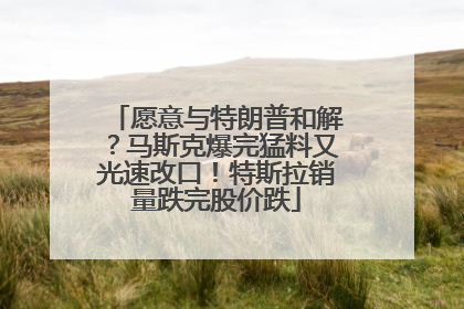 愿意与特朗普和解？马斯克爆完猛料又光速改口！特斯拉销量跌完股价跌