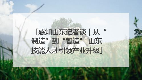 感知山东记者谈｜从“制造”到“智造” 山东技能人才引领产业升级