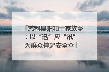 慈利县阳和土家族乡：以“迅”应“汛” 为群众撑起安全伞