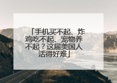 手机买不起、炸鸡吃不起、宠物养不起？这届美国人活得好难