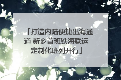 打造内陆便捷出海通道 新乡首班铁海联运定制化班列开行