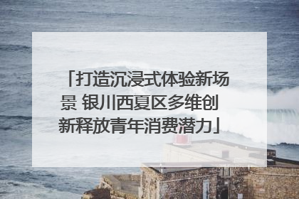 打造沉浸式体验新场景 银川西夏区多维创新释放青年消费潜力