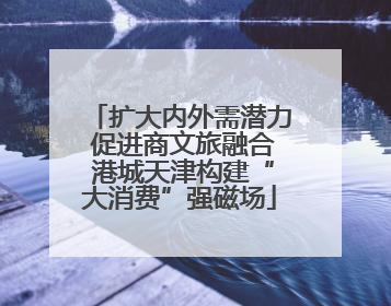 扩大内外需潜力 促进商文旅融合 港城天津构建“大消费”强磁场