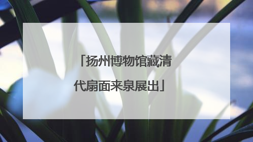 扬州博物馆藏清代扇面来泉展出