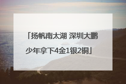 扬帆南太湖 深圳大鹏少年拿下4金1银2铜