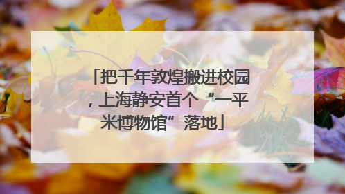 把千年敦煌搬进校园，上海静安首个“一平米博物馆”落地