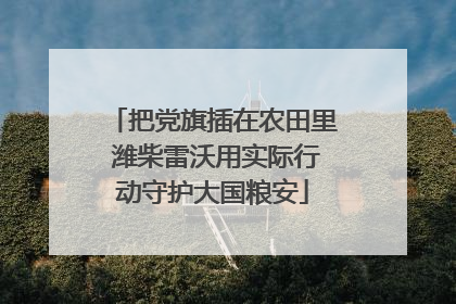 把党旗插在农田里 潍柴雷沃用实际行动守护大国粮安
