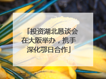 投资湖北恳谈会在大阪举办，携手深化鄂日合作
