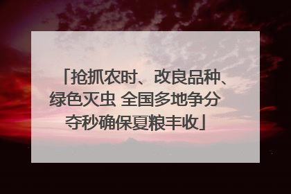 抢抓农时、改良品种、绿色灭虫 全国多地争分夺秒确保夏粮丰收