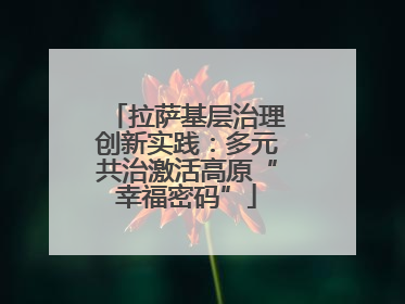 拉萨基层治理创新实践：多元共治激活高原“幸福密码”
