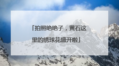 拍照绝绝子，黄石这里的绣球花盛开啦