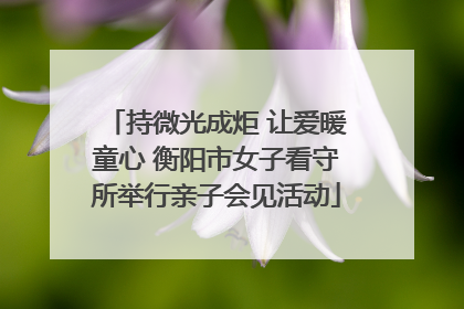 持微光成炬 让爱暖童心 衡阳市女子看守所举行亲子会见活动