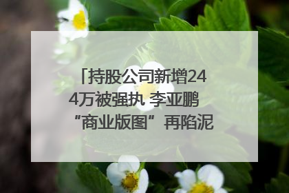 持股公司新增244万被强执 李亚鹏“商业版图”再陷泥潭？｜科技观察