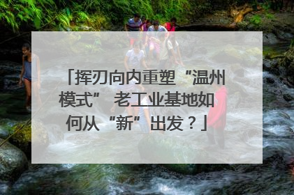 挥刃向内重塑“温州模式” 老工业基地如何从“新”出发？