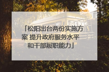松阳出台两份实施方案 提升政府服务水平和干部履职能力
