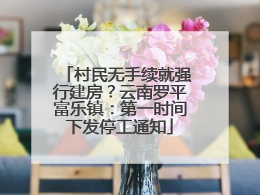 村民无手续就强行建房？云南罗平富乐镇：第一时间下发停工通知