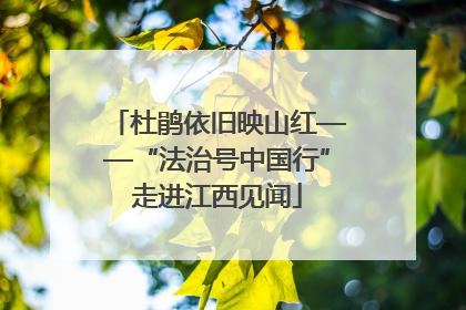 杜鹃依旧映山红——“法治号中国行”走进江西见闻