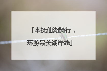 来抚仙湖骑行，环游最美湖岸线