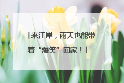 来江岸，雨天也能带着“爆笑”回家！