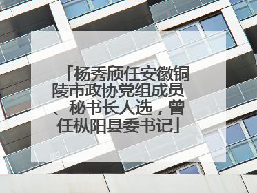 杨秀颀任安徽铜陵市政协党组成员、秘书长人选，曾任枞阳县委书记