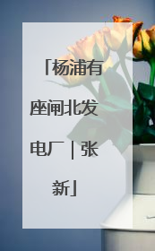 杨浦有座闸北发电厂｜张新