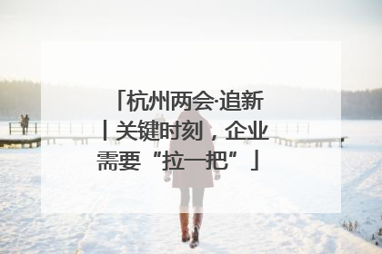 杭州两会·追新丨关键时刻，企业需要“拉一把”
