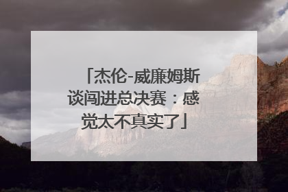 杰伦-威廉姆斯谈闯进总决赛：感觉太不真实了