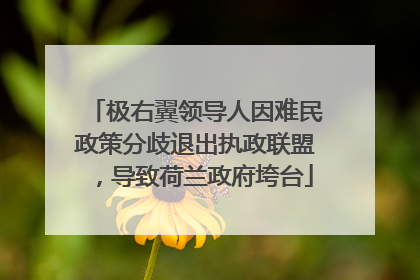 极右翼领导人因难民政策分歧退出执政联盟，导致荷兰政府垮台