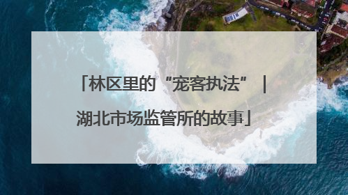 林区里的“宠客执法”｜湖北市场监管所的故事