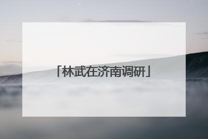 林武在济南调研