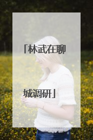 林武在聊城调研