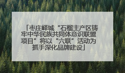 枣庄峄城“石榴主产区铸牢中华民族共同体意识联盟项目”将以“六联”活动为抓手深化品牌建设