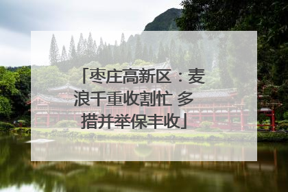 枣庄高新区：麦浪千重收割忙 多措并举保丰收