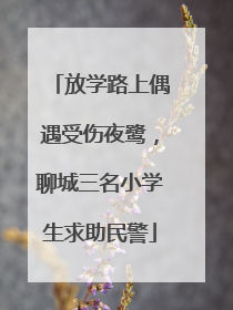 放学路上偶遇受伤夜鹭，聊城三名小学生求助民警