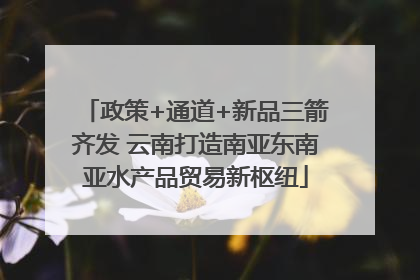 政策+通道+新品三箭齐发 云南打造南亚东南亚水产品贸易新枢纽