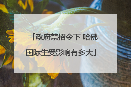 政府禁招令下 哈佛国际生受影响有多大