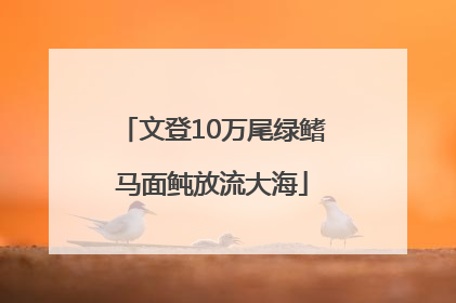 文登10万尾绿鳍马面鲀放流大海