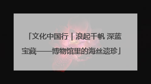 文化中国行｜浪起千帆 深蓝宝藏——博物馆里的海丝遗珍