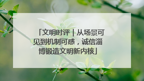 文明时评｜从场景可见到机制可感，诚信淄博锻造文明新内核
