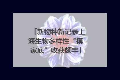新物种新记录上海生物多样性“摸家底”收获颇丰