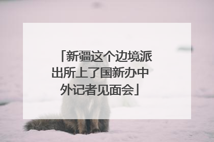 新疆这个边境派出所上了国新办中外记者见面会