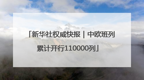 新华社权威快报｜中欧班列累计开行110000列