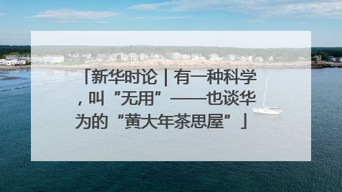 新华时论｜有一种科学，叫“无用”——也谈华为的“黄大年茶思屋”