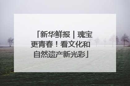 新华鲜报｜瑰宝更青春！看文化和自然遗产新光彩