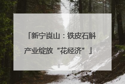 新宁崀山：铁皮石斛产业绽放“花经济”