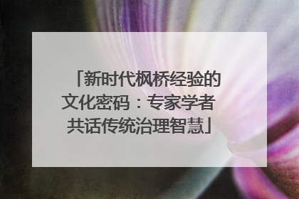 新时代枫桥经验的文化密码：专家学者共话传统治理智慧