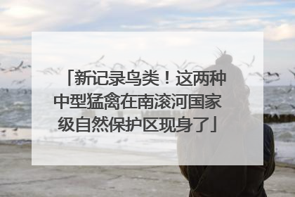 新记录鸟类！这两种中型猛禽在南滚河国家级自然保护区现身了