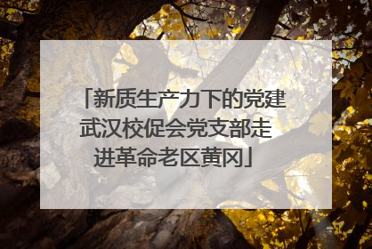 新质生产力下的党建 武汉校促会党支部走进革命老区黄冈