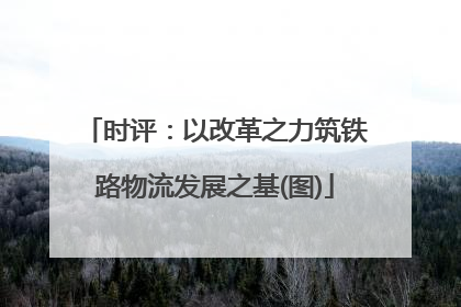 时评：以改革之力筑铁路物流发展之基(图)